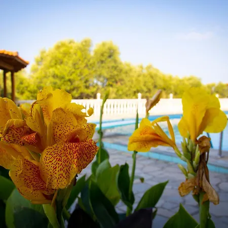 El Paraiso Дом отдыха Салоники