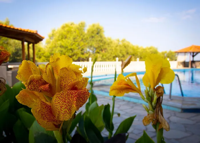 El Paraiso Сasa de vacaciones Tesalónica